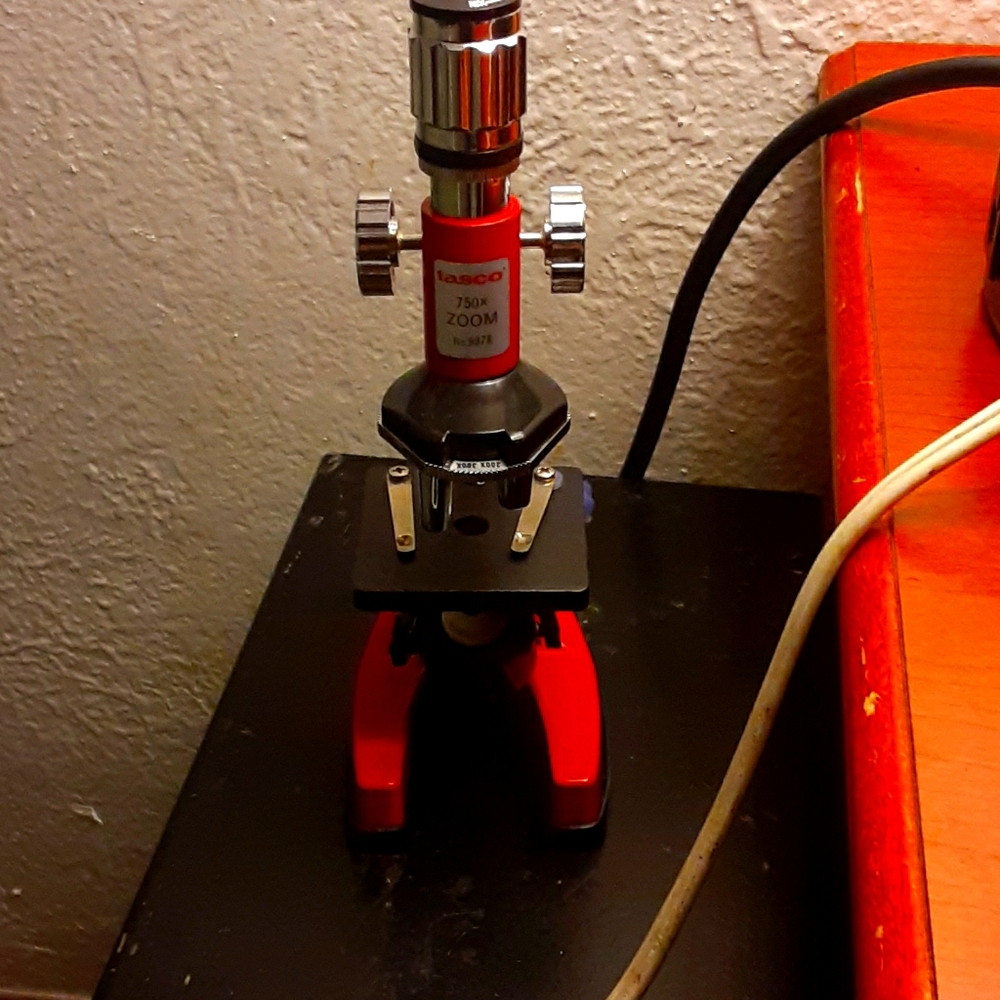 Microscope for kids